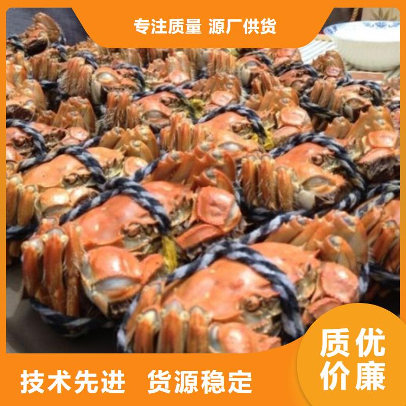 阳澄湖大闸蟹视频-阳澄湖大闸蟹_广东省广州市市场覆盖黄埔|增城|佛山|河源|惠州|茂名|中山|韶关等