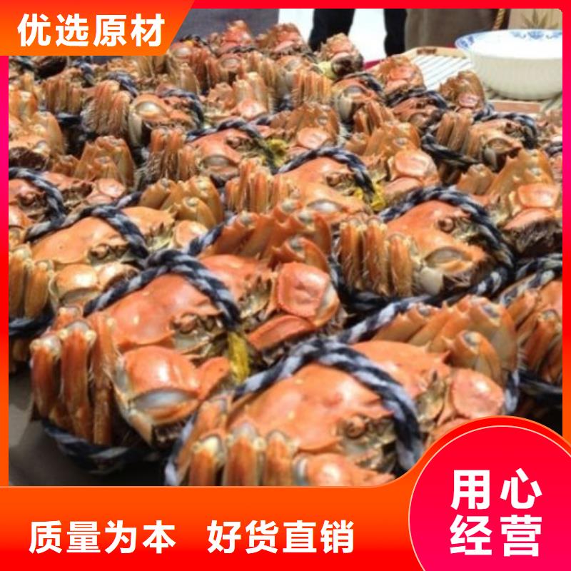 蟹近的阳澄湖大闸蟹销售点定金锁价
