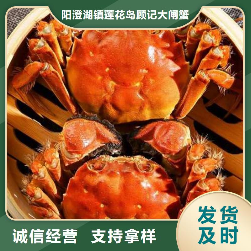 蟹阳澄湖大闸蟹多少重量支持定制加工
