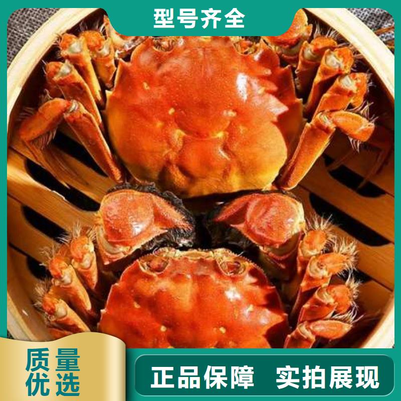 阳澄湖大闸蟹视频-常德|娄底|株洲|郴州|张家界阳澄湖大闸蟹今日价格-阳澄湖镇岛顾记大闸蟹经营部(湖南省分公司)