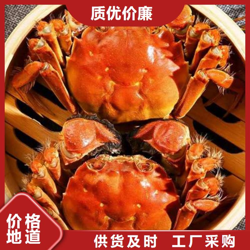 蟹阳澄湖大闸蟹多少重量真实拍摄品质可靠