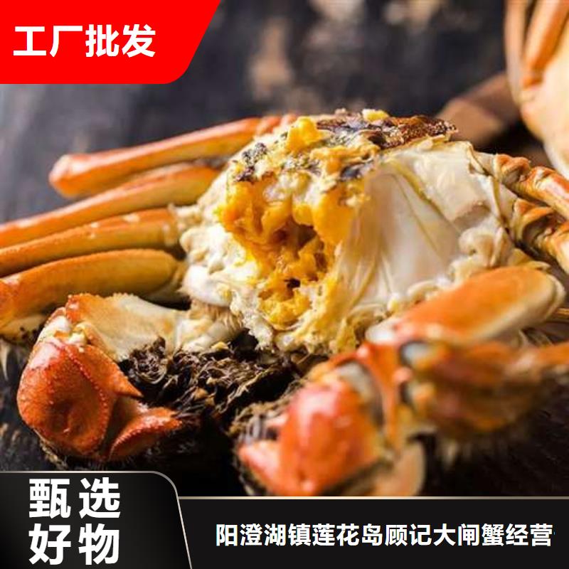 阳澄湖大闸蟹视频-阳澄湖大闸蟹-陕西省汉中市南郑|汉台|宝鸡|铜川|西安|延安|安康|榆林|咸阳该地生产商