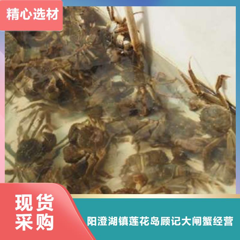 蟹阳澄湖大闸蟹网购可放心采购