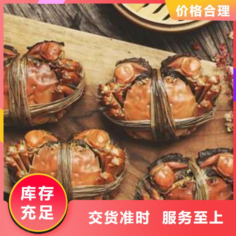 阳澄湖大闸蟹视频-郴州|岳阳|益阳|娄底|怀化|株洲|湘西阳澄湖大闸蟹多种规格可选-阳澄湖镇岛顾记大闸蟹经营部(湖南省分公司)