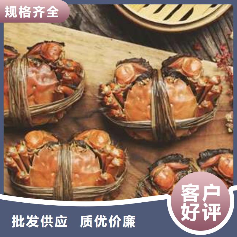 蟹近的阳澄湖大闸蟹销售点优选厂家