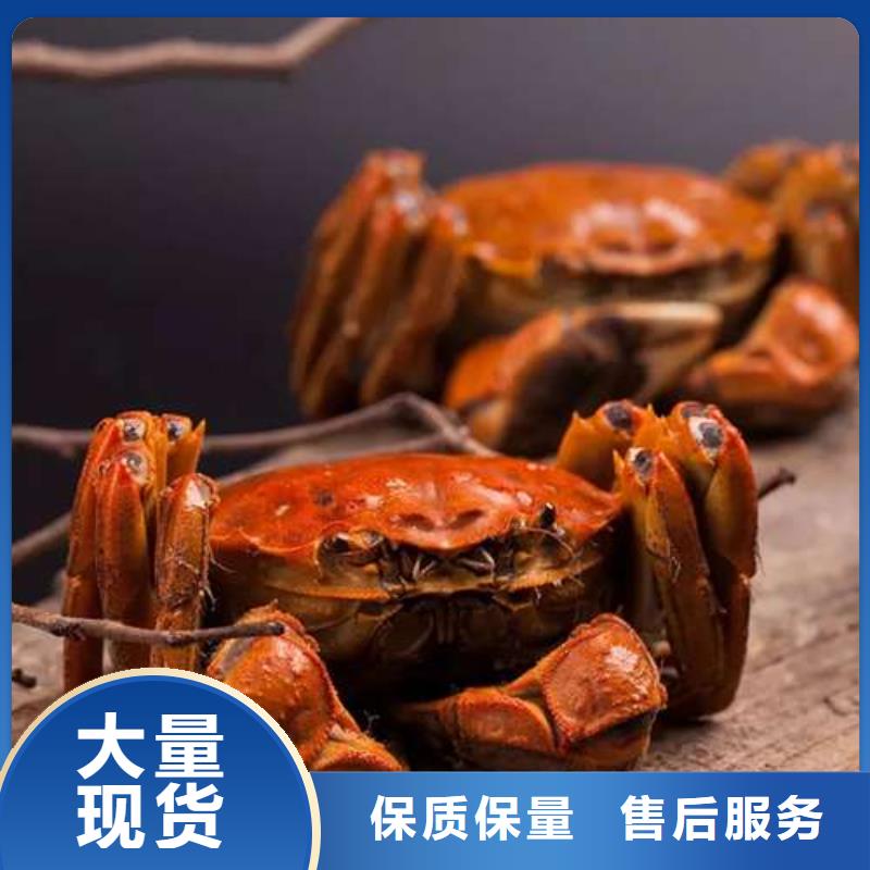 蟹哪里有卖阳澄湖大闸蟹生产经验丰富
