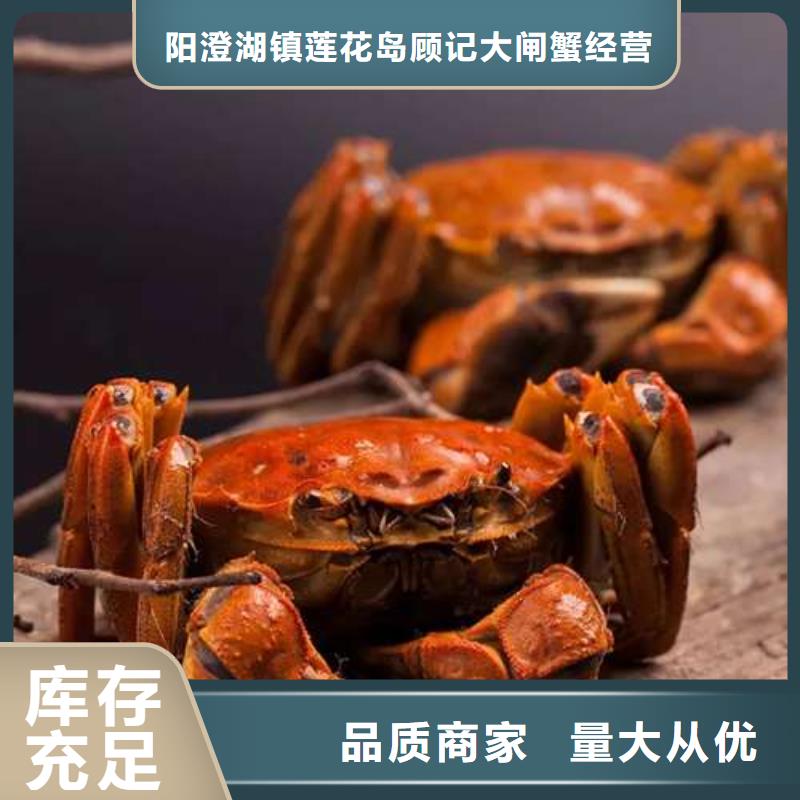 阳澄湖大闸蟹视频-阳澄湖大闸蟹(顾记)覆盖地域内蒙古鄂尔多斯市乌兰察布|包头|呼伦贝尔|锡林郭勒|通辽