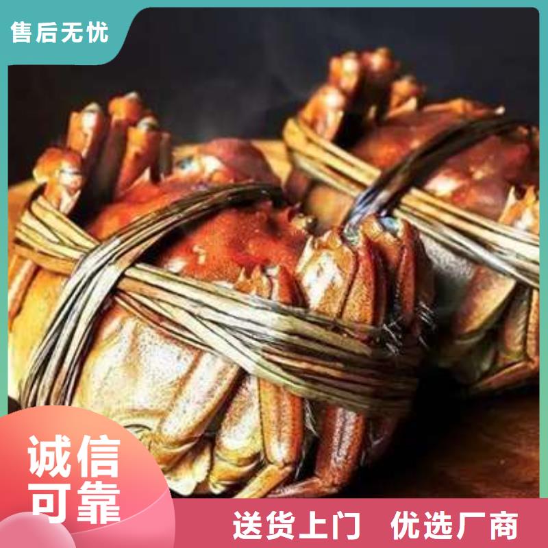 蟹阳澄湖大闸蟹直营店产地厂家直销
