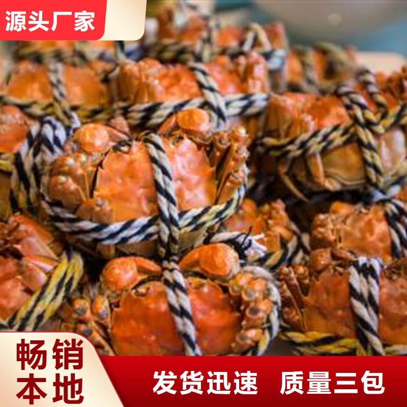 【 螃蟹-阳澄湖大闸蟹行业优选】-阳澄湖镇岛顾记大闸蟹经营部(晋中市分公司)