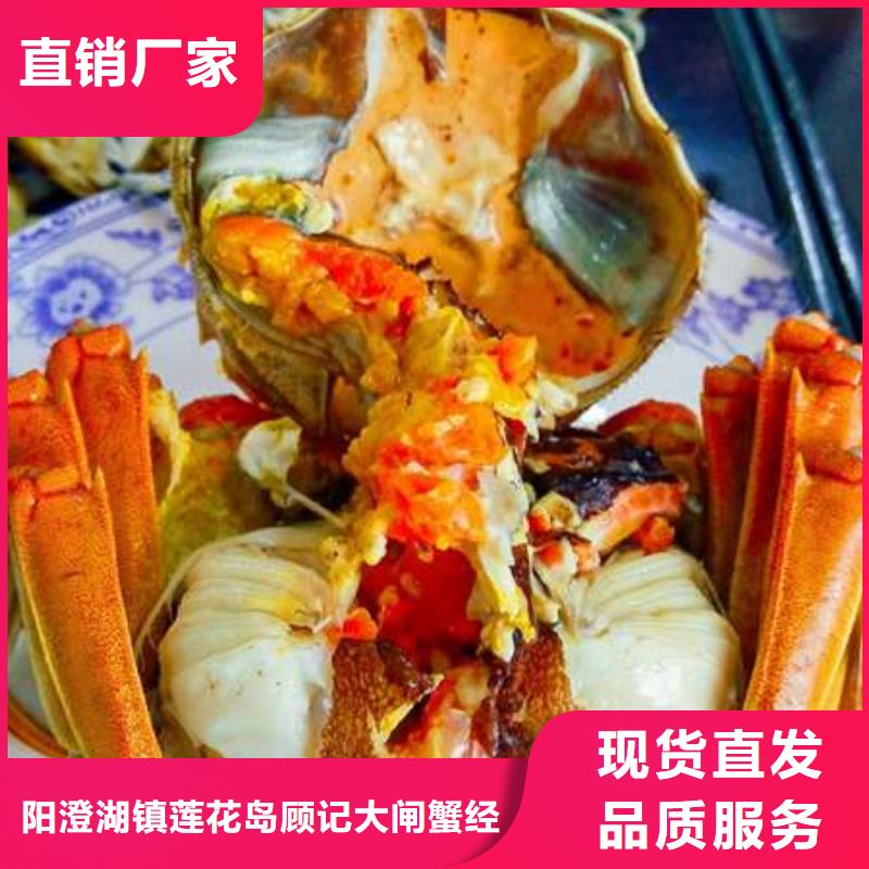 阳澄湖大闸蟹顾记【螃蟹 卖阳澄湖大闸蟹地方出厂价】