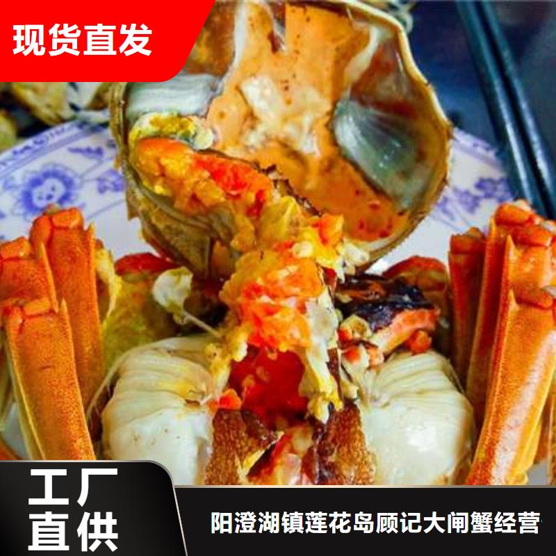 蟹阳澄湖大闸蟹几两吃质检严格放心品质