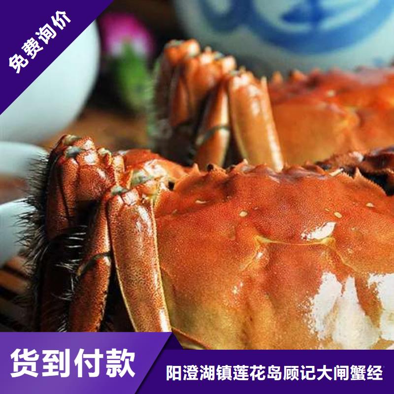 蟹哪里有卖阳澄湖大闸蟹生产经验丰富