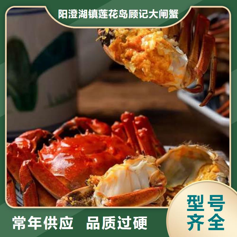 蟹哪里有卖阳澄湖大闸蟹生产经验丰富