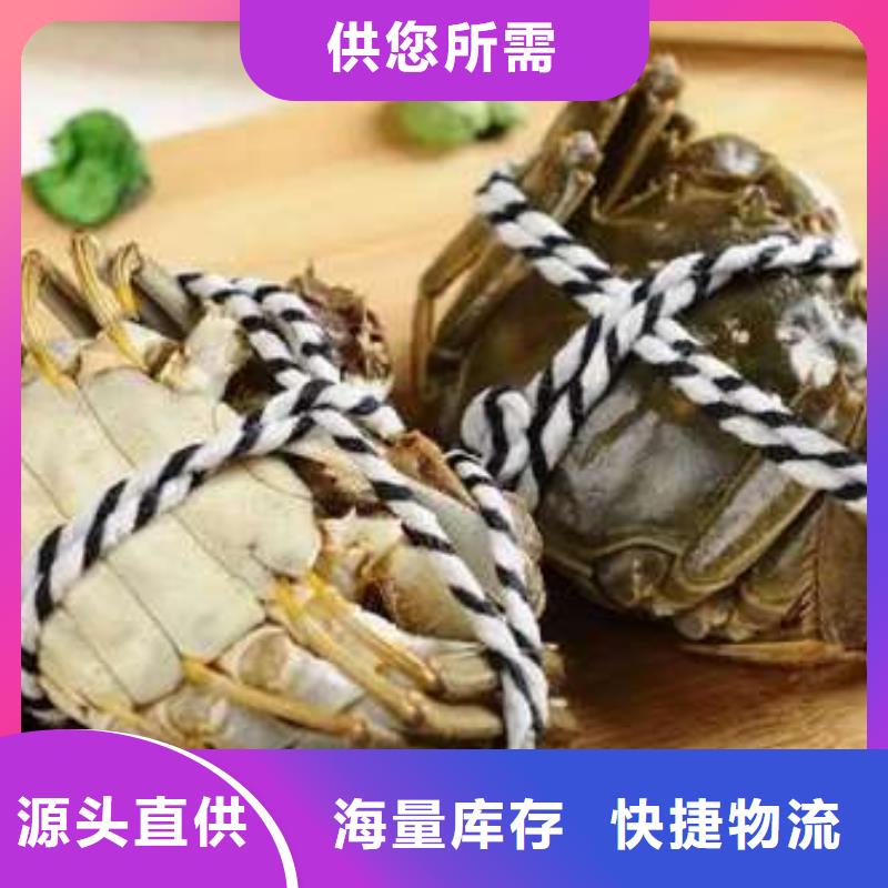 阳澄湖大闸蟹视频-阳澄湖大闸蟹_广东省广州市市场覆盖黄埔|增城|佛山|河源|惠州|茂名|中山|韶关等
