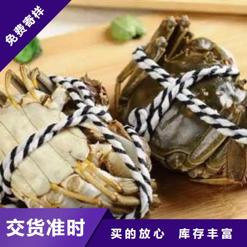阳澄湖大闸蟹视频-郴州|岳阳|益阳|娄底|怀化|株洲|湘西阳澄湖大闸蟹多种规格可选-阳澄湖镇岛顾记大闸蟹经营部(湖南省分公司)
