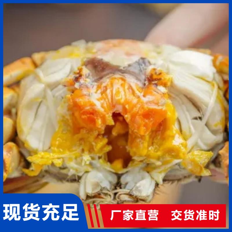 阳澄湖大闸蟹视频-阳澄湖大闸蟹(顾记)覆盖地域内蒙古鄂尔多斯市乌兰察布|包头|呼伦贝尔|锡林郭勒|通辽