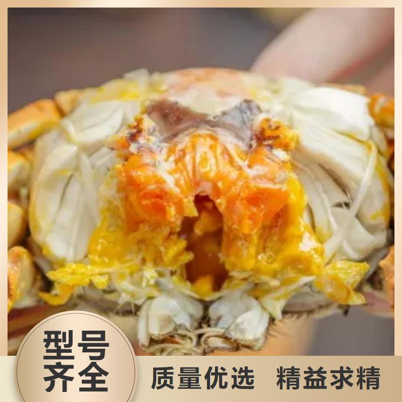 蟹阳澄湖大闸蟹礼盒精心打造