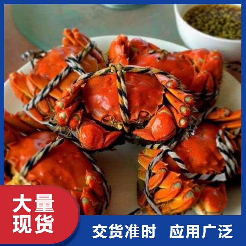 蟹阳澄湖大闸蟹几两吃质检严格放心品质