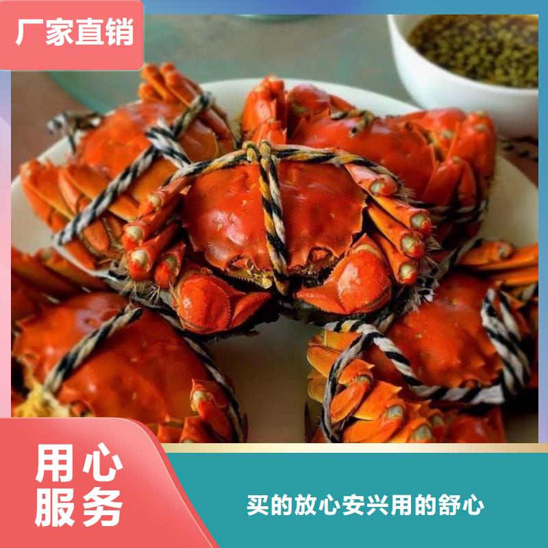 蟹阳澄湖大闸蟹批发店客户信赖的厂家