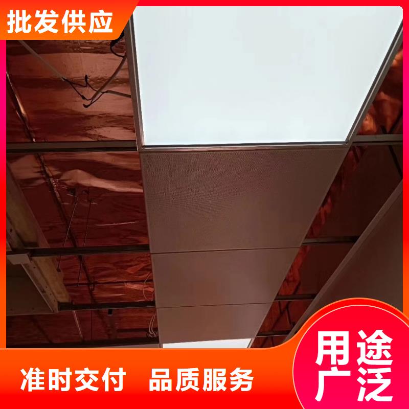 射线防护工程铅门厂家经久耐用