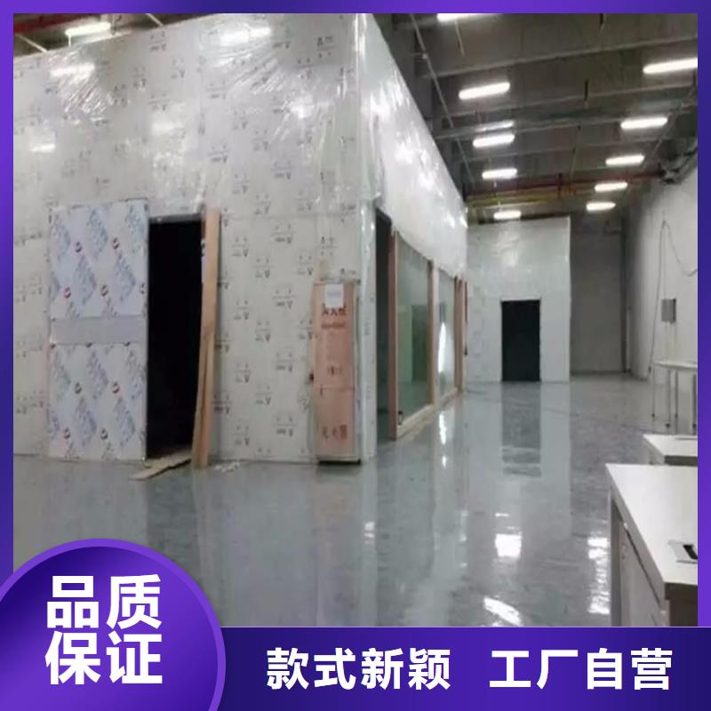 防辐射铅板视频-广西省贺州市铅门厂家防辐射铅板可服务区域八步|昭平|崇左|来宾|钦州|贵港|梧州|防城港等
