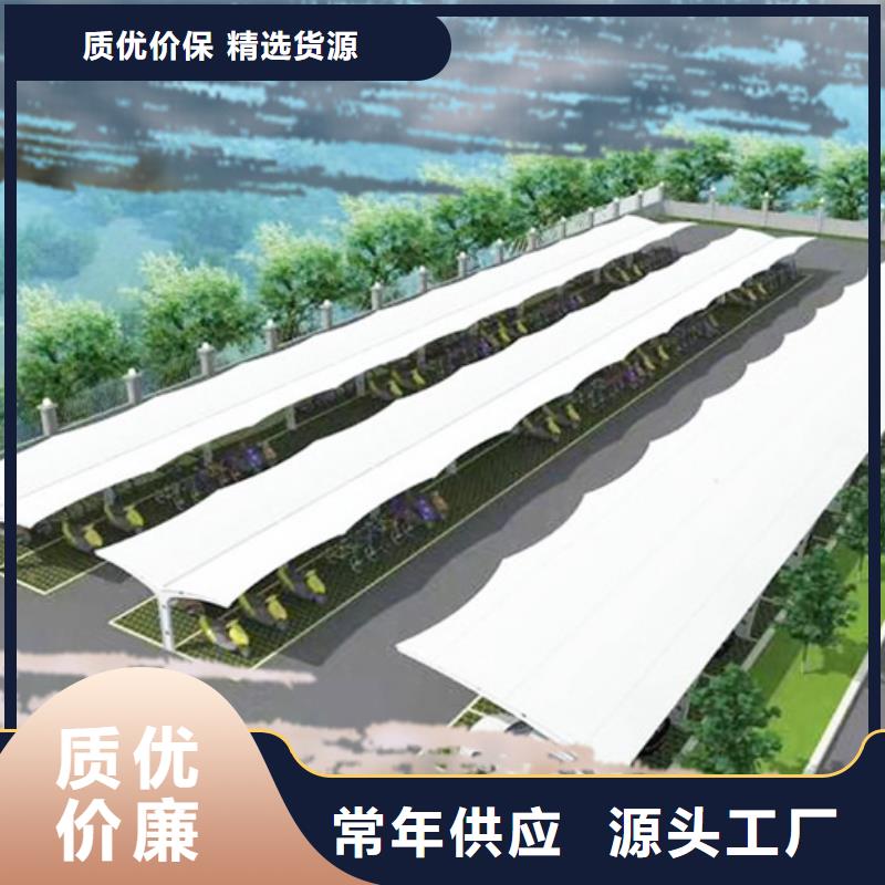 自行车停车棚-铝制灯杆灯箱口碑好实力强