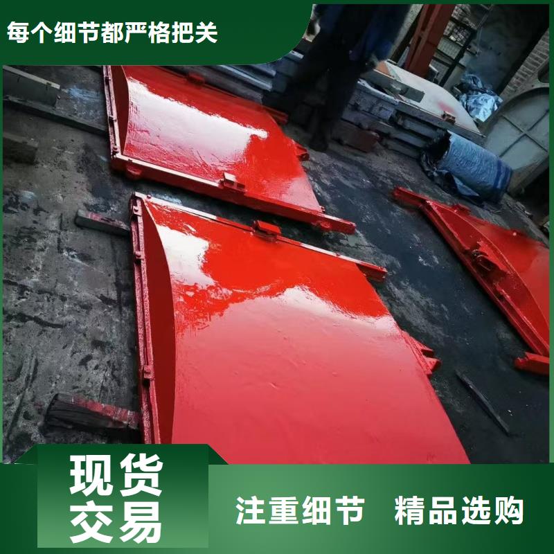 铸铁镶铜闸门-止水带橡胶技术领先
