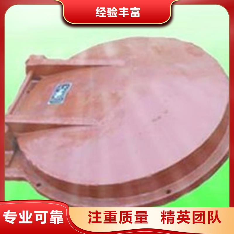 拍门,钢制拍门产地工厂