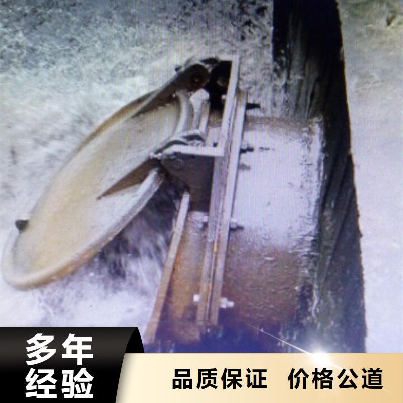 拍门节能型侧开式拍门可放心采购