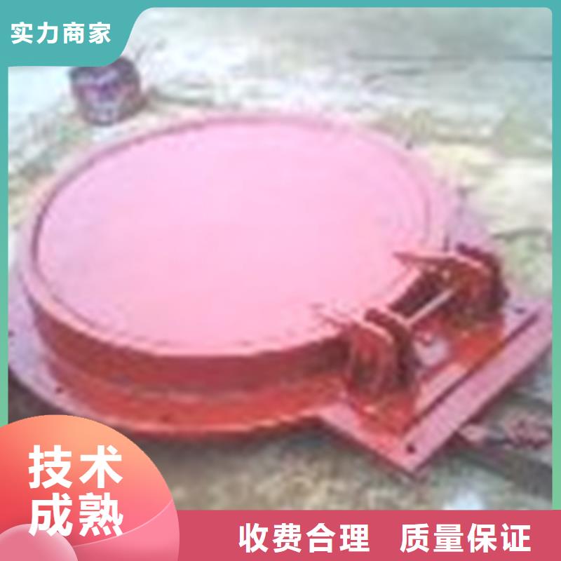 拍门,1.8米铸铁拍门价格实惠