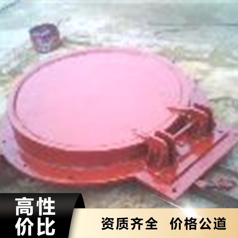 拍门矩形侧翻式拍门高品质现货销售