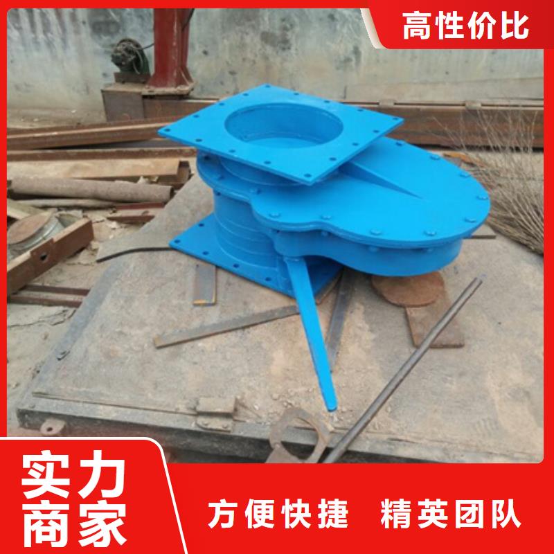 拍门1.2米铸铁拍门供货及时