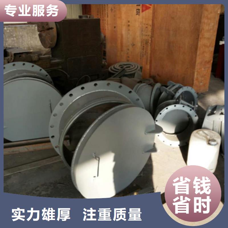 拍门控制拍门_控制拍门做工细致