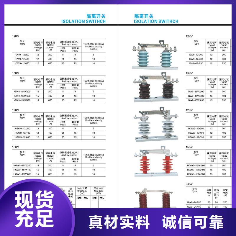 高压隔离开关-【避雷器】定制速度快工期短