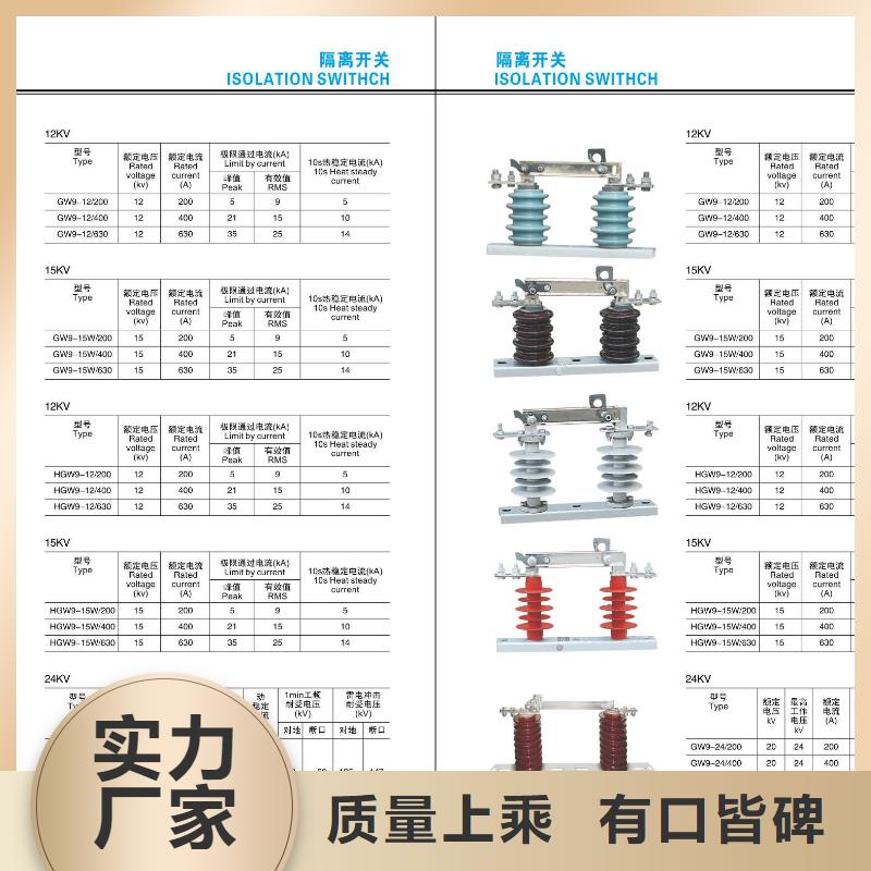 高压隔离开关金属氧化物避雷器品牌专营