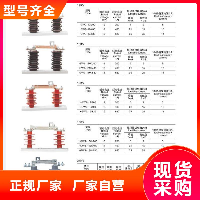 高压隔离开关M8杆带螺杆绝缘子精益求精