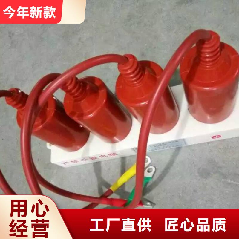过电压保护器高压隔离开关厂家按需定做-可发货到斗门|香洲|汕头|云浮|肇庆|潮州|深圳|江门