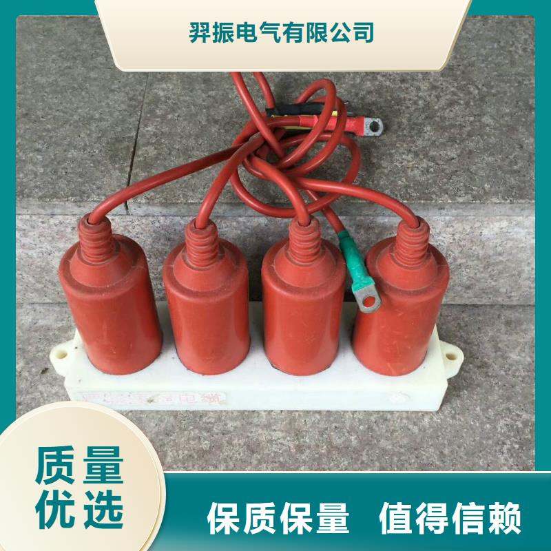 |胶州|即墨|日照|淄博|泰安|枣庄|德州羿振过电压保护器高压负荷开关直销厂家