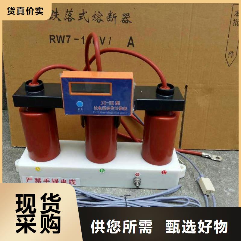 【过电压保护器-跌落式熔断器优选厂家】-羿振电气(东莞市分公司)