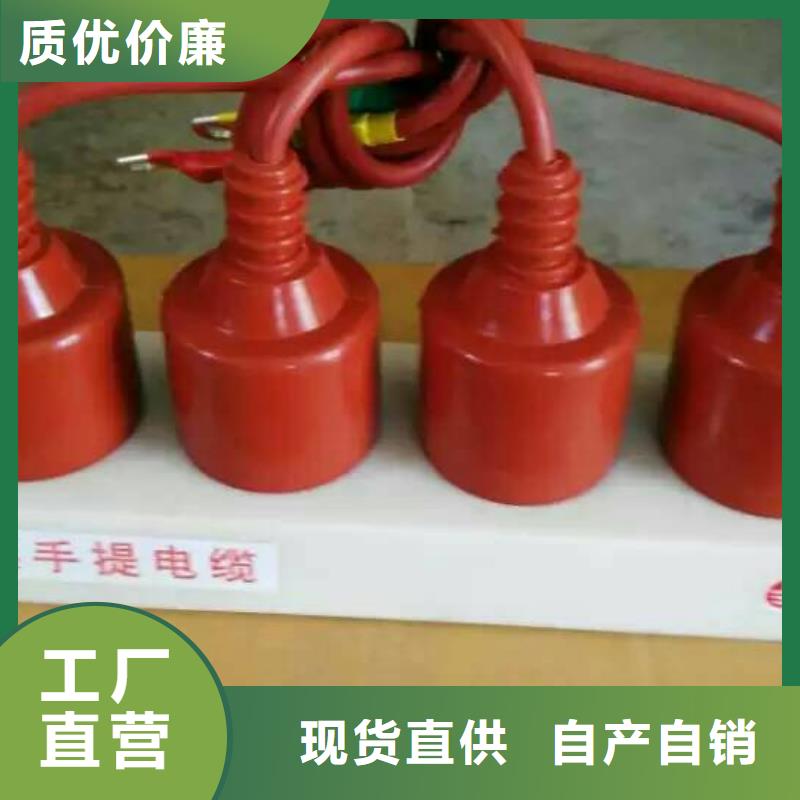 【断路器】羿振过电压保护器真空断路器服务始终如一