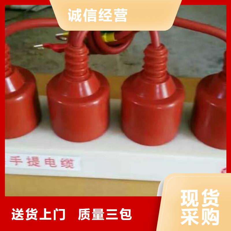 【过电压保护器-跌落式熔断器优选厂家】-羿振电气(东莞市分公司)