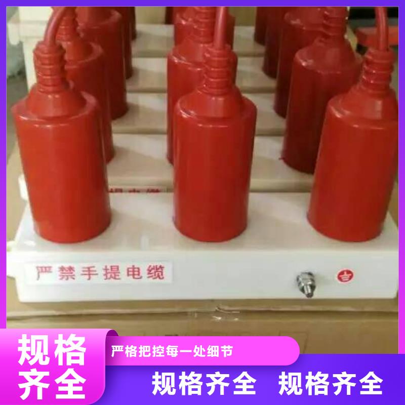 【断路器】-视频-广东省珠海市|香洲|斗门|肇庆|中山|云浮|阳江【断路器】-羿振
