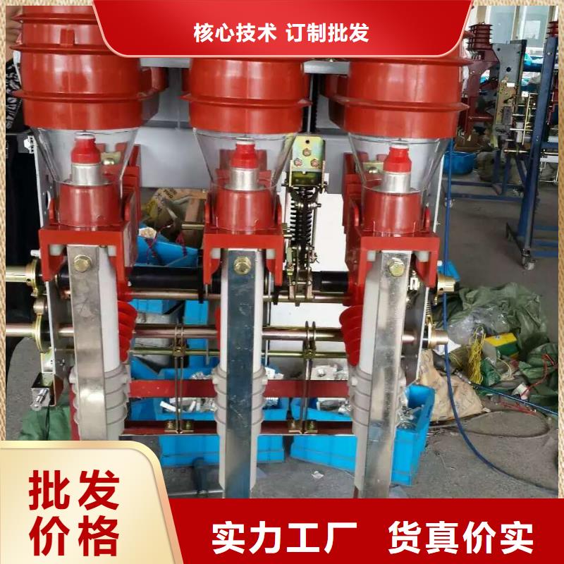 负荷开关真空断路器好货有保障当地生产商