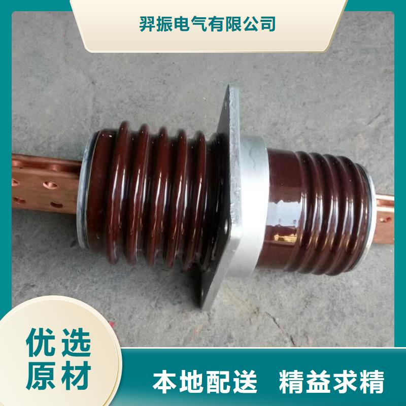 穿墙套管跌落式熔断器厂家实力雄厚由羿振为您