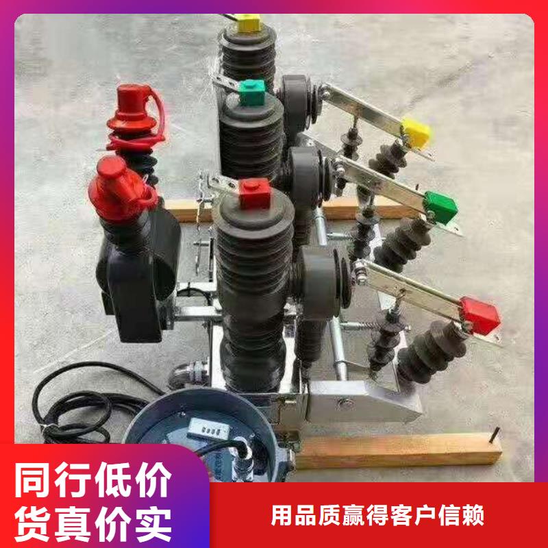 羿振【断路器】ZW32真空断路器断路器厂家精品优选cg39.com