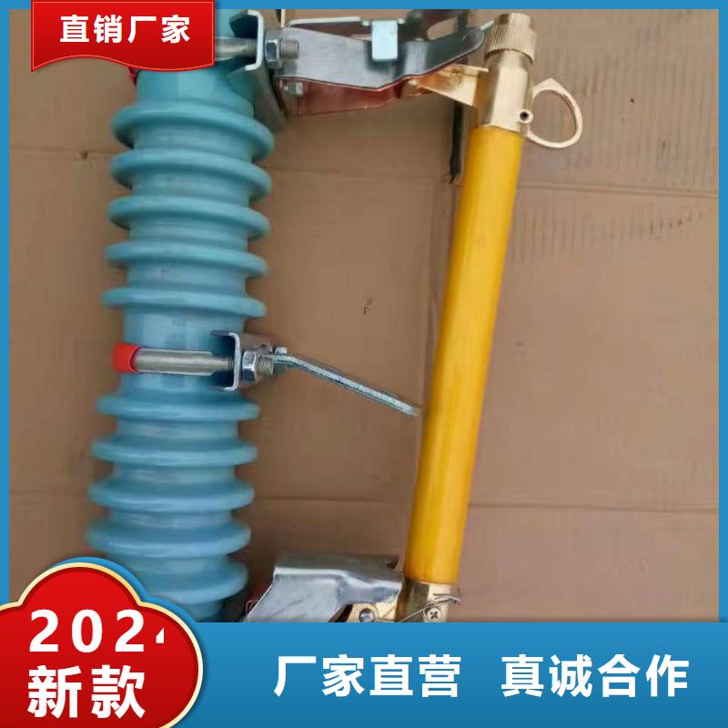 熔断器 金属氧化物避雷器买的是放心