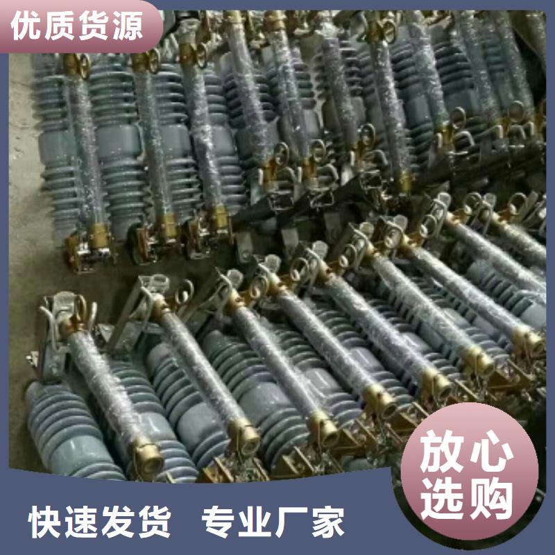 熔断器金属氧化物避雷器供货及时