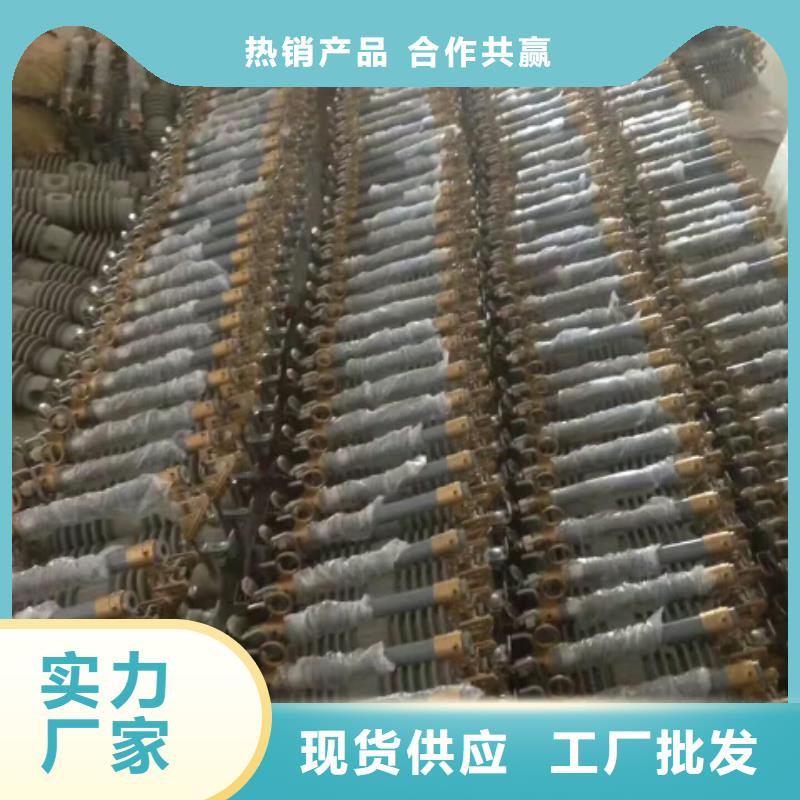 熔断器【金属氧化物避雷器】好品质选我们