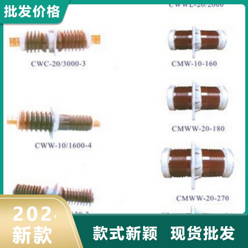 【 隔离开关绝缘子品种全】本地品牌