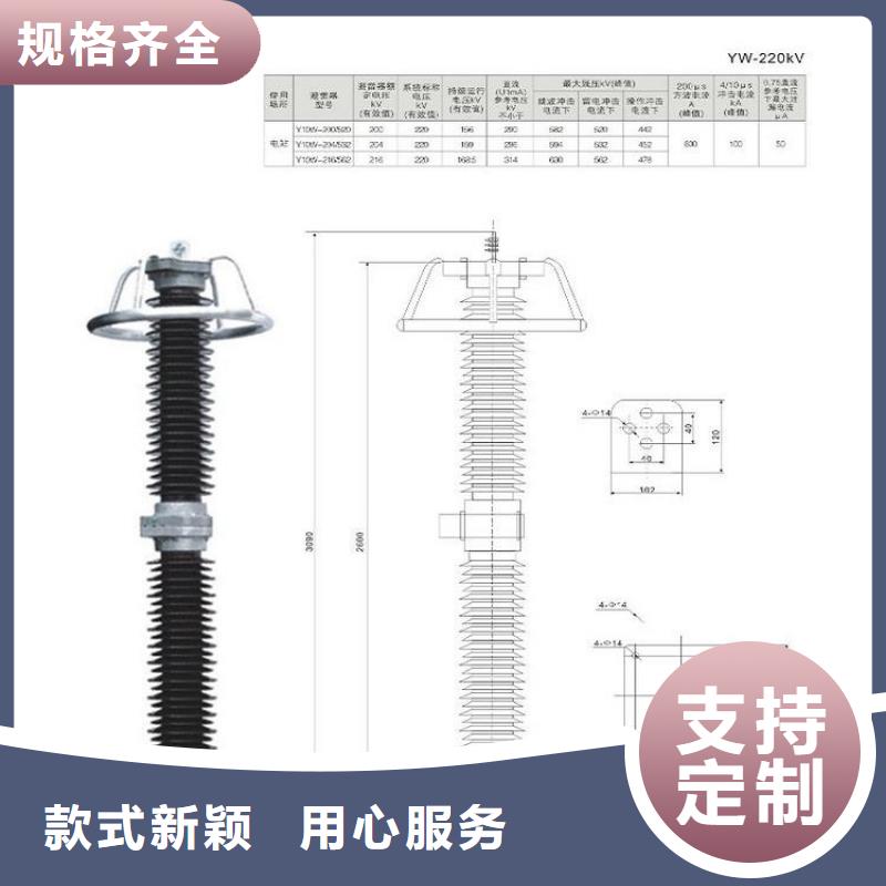 避雷器高压负荷开关源头厂家来图定制同城品牌
